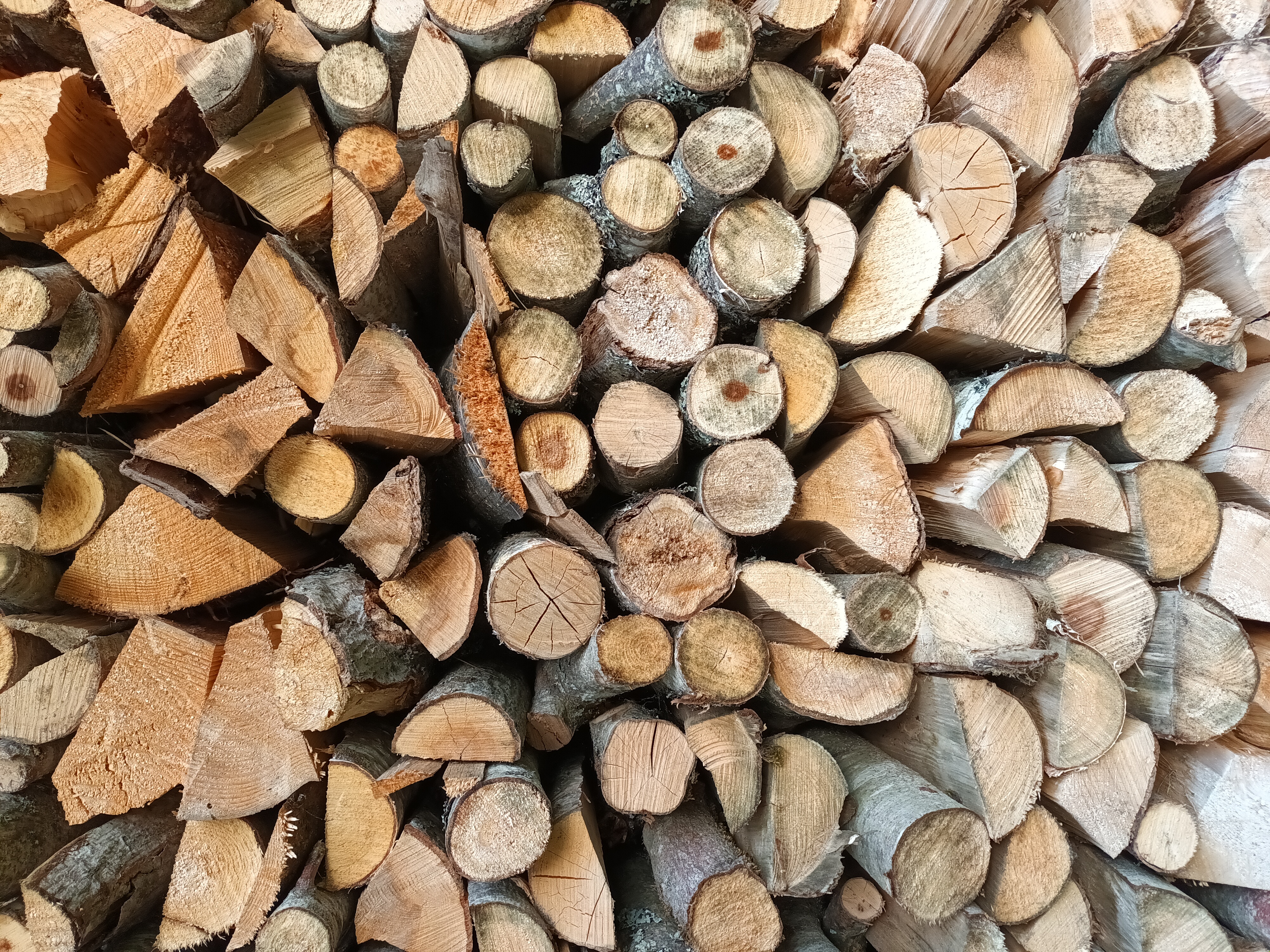 Küttepuud – lõhutud puuvalmis kütteks
